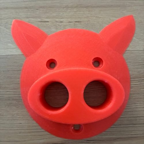 Prises d’escalade tête de cochon